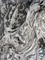 ../photos/Italian natural marbles/flower grey.JPG